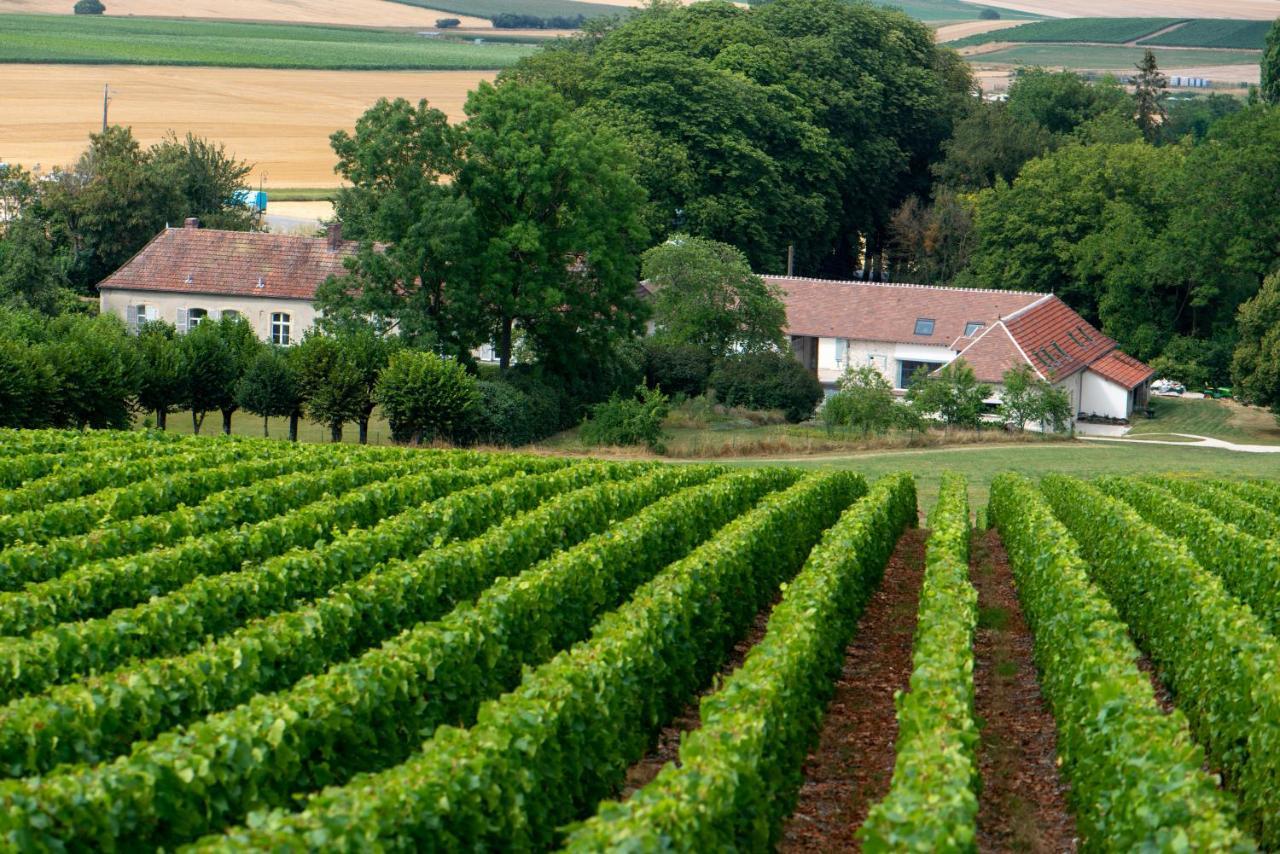 Bed and Breakfast L' Ecrin Des Vignes Sermiers Exterior foto